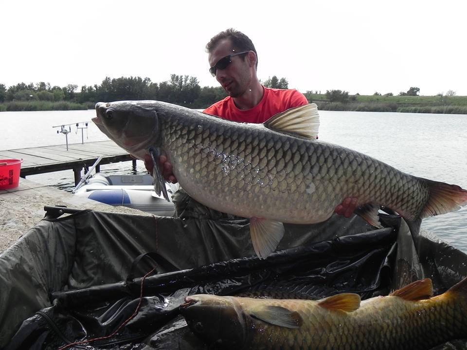 Tancabesti 31 august - 7 septembrie 2014 - 106411907238079710181635171055508247333920n.jpg